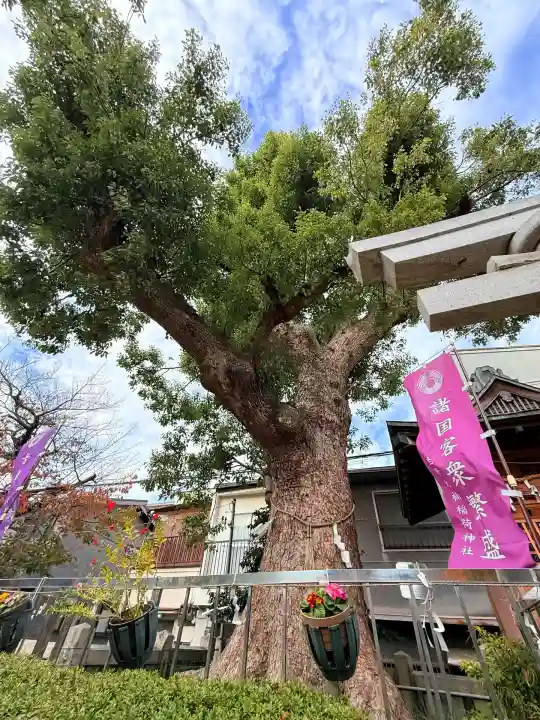 生野八坂神社(大阪府)