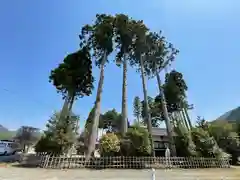 山國神社の自然