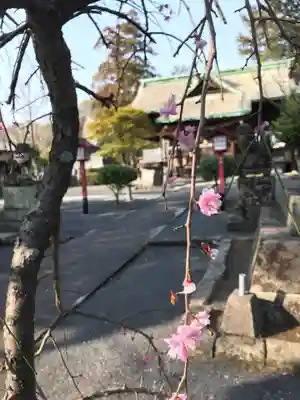 近津神社(福岡県)