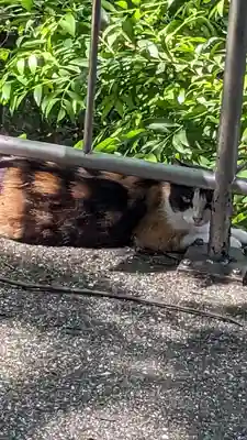 蜂穴神社（石清尾八幡宮末社）(香川県)