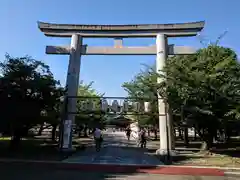 大阪護國神社の鳥居