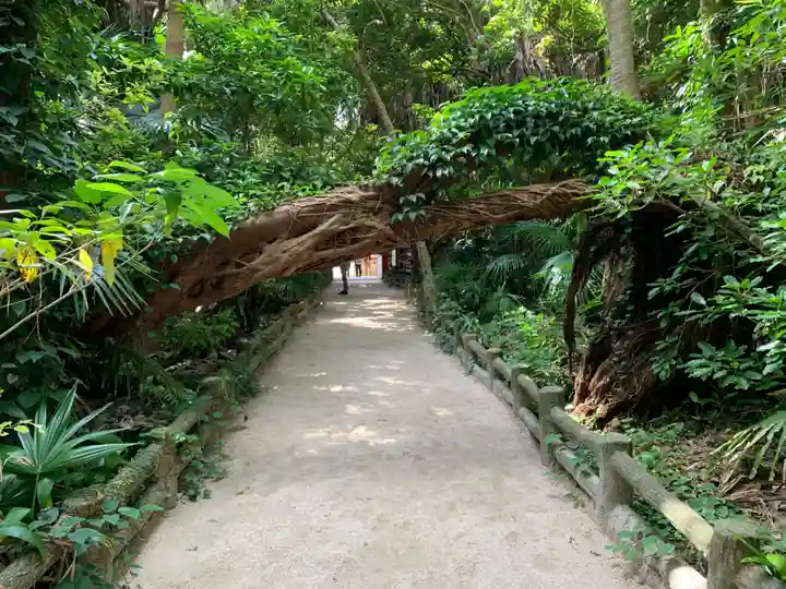 青島神社(青島神宮)の自然