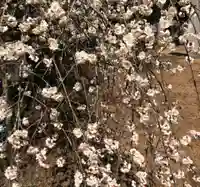 梅園神社の自然