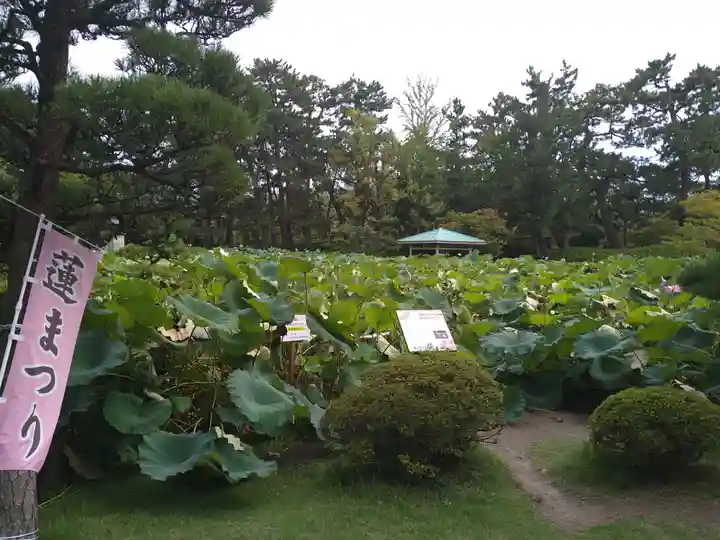 白山神社の庭園