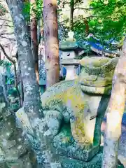 五所駒瀧神社の狛犬