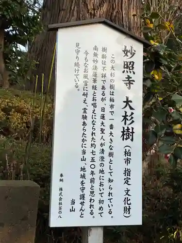 妙照寺(千葉県)