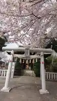 日枝神社の鳥居