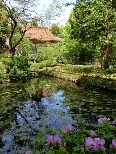 雲樹寺の庭園