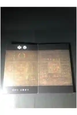 高野山金剛峯寺の御朱印帳です
血曼荼羅
過去の記録です