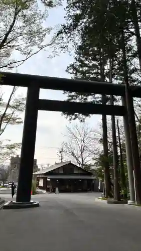 北海道神宮の鳥居