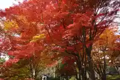 土津神社｜こどもと出世の神さまの自然