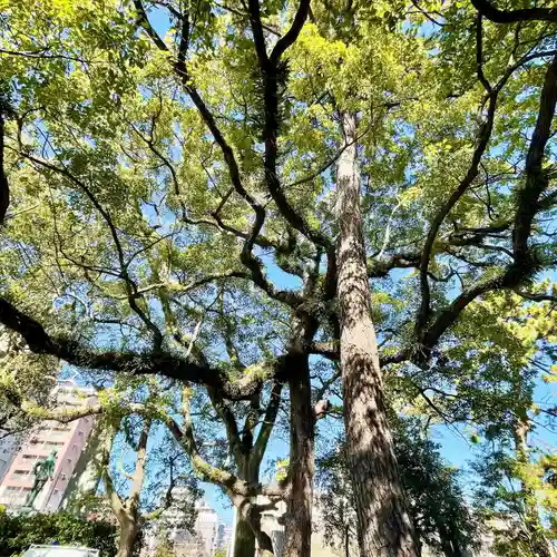 鳥飼八幡宮(福岡県)