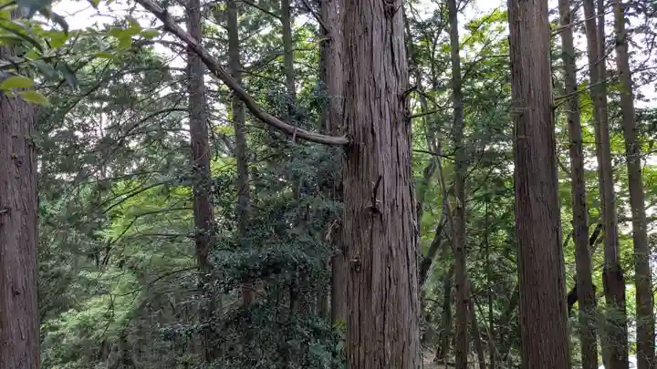 日枝神社の自然