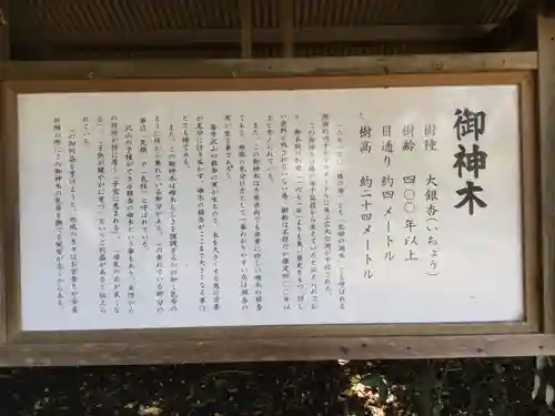 鎌数伊勢大神宮(千葉県)