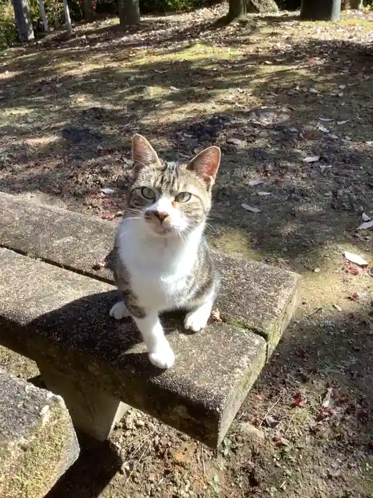 玉野御嶽神社の動物