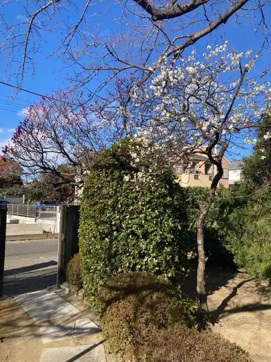 薬師院(神奈川県)