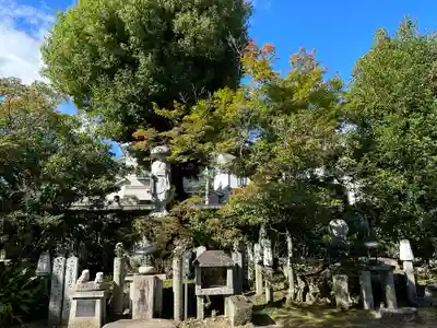 神光院(京都府)