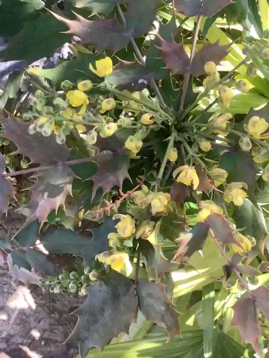 三輪神社の自然
