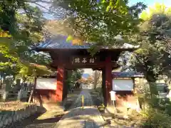 清善寺の山門