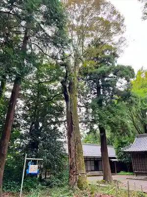 青海神社の自然