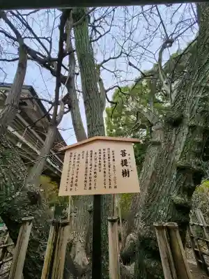 大宮八幡宮の{uncategorized: "未分類", other: "その他", undefined: "問題あり", building: "その他建物", grave: "お墓", sacred_gate: "鳥居", guardian: "狛犬", statue: "像", buddha: "仏像", history: "歴史", nature: "自然", garden: "庭園", animal: "動物", pagoda: "塔", temizu: "手水舎", mountain_gate: "山門・神門", sanctuary: "本殿・本堂", subordinate: "末社・摂社", art: "芸術", scenery: "景色", jizo: "地蔵", ema: "絵馬", goshuin: "御朱印", omikuji: "おみくじ", items: "授与品その他", amulet: "お守り", goshuincho: "御朱印帳", eats: "食事", festival: "お祭り", votive_dance: "神楽", shichigosan: "七五三参", wedding: "結婚式", experience: "体験その他", initially: "初詣", around: "周辺", anti_infection: "感染症対策"}