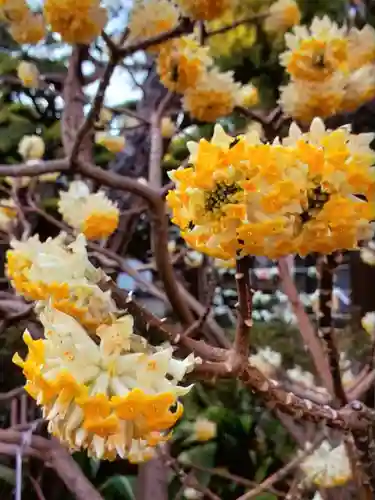 鳩森八幡神社(東京都)
