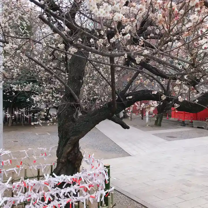 花園神社のその他建物