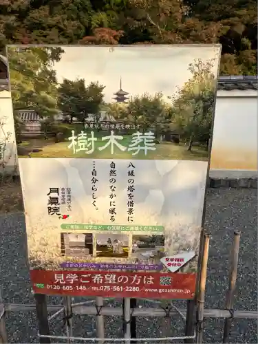 圓徳院(京都府)