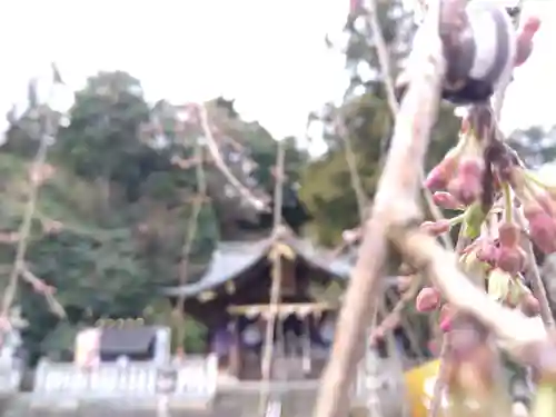 毛谷黒龍神社(福井県)