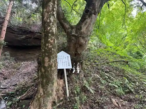青麻神社(宮城県)