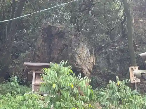 橿森神社(岐阜県)