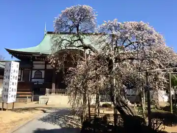 遠壽院の本殿・本堂