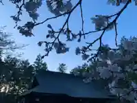 滑川神社 - 仕事と子どもの守り神の本殿・本堂