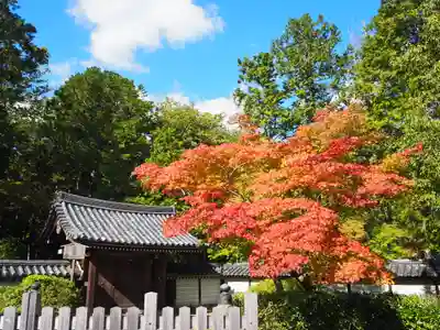 西芳寺の山門・神門