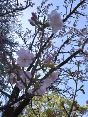 菊池神社(熊本県)