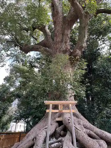 和泉國一之宮　大鳥大社(大阪府)