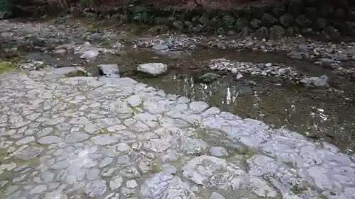 瀧原宮(皇大神宮別宮)の自然