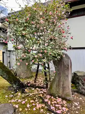 三囲神社(東京都)