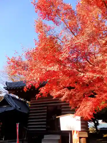 鑁阿寺のその他建物