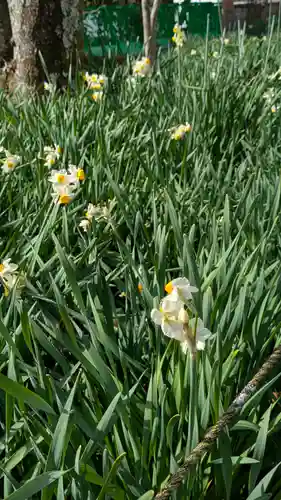 惠心院（恵心院）(京都府)