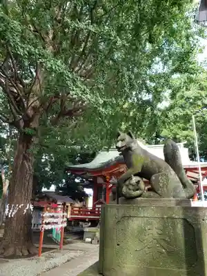 永福稲荷神社の狛犬