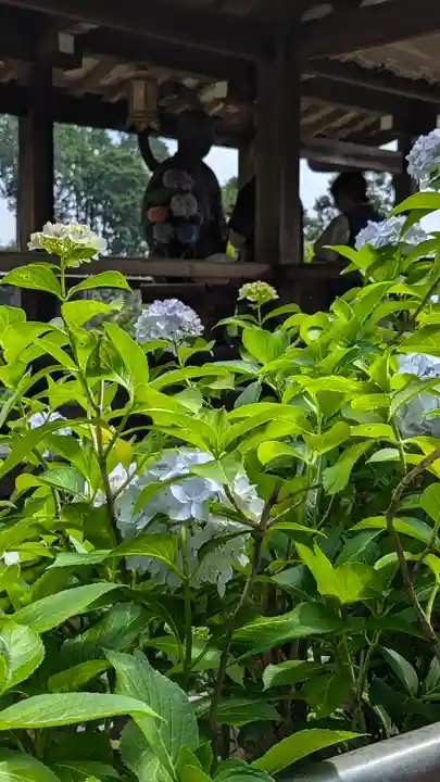 善峯寺(京都府)