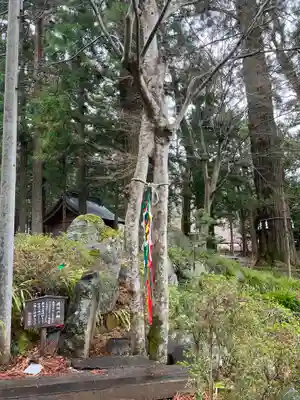 河口浅間神社のその他建物