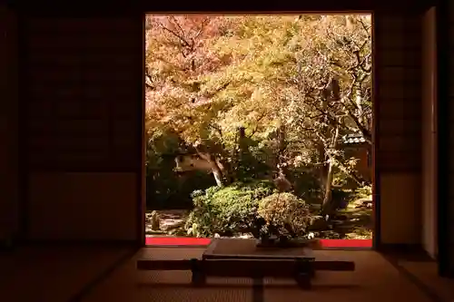 光明寺（粟生光明寺）(京都府)