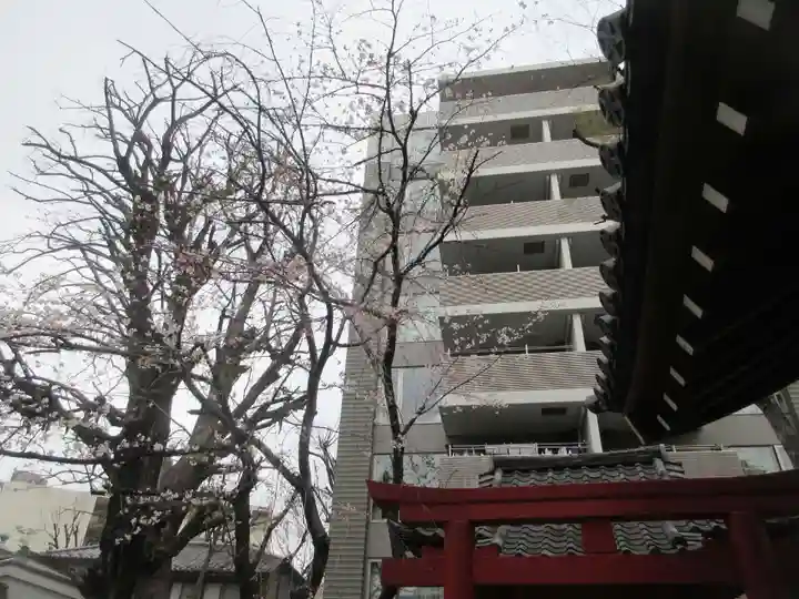 品川寺(東京都)