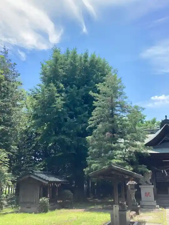 女體神社(埼玉県)