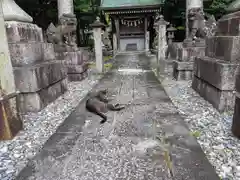 阿志都彌神社・行過天満宮の動物