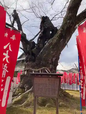 秩父今宮神社(埼玉県)