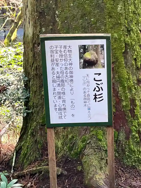 花園神社(茨城県)