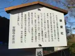 諏訪大社上社前宮(長野県)